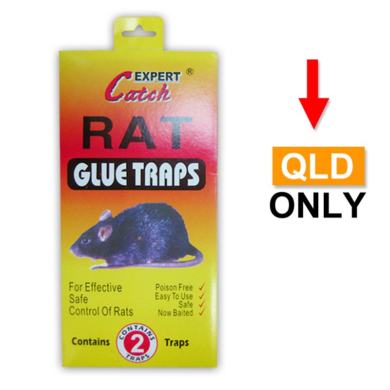 Pest Control - Mouse Traps 2pc Paper with Glue
