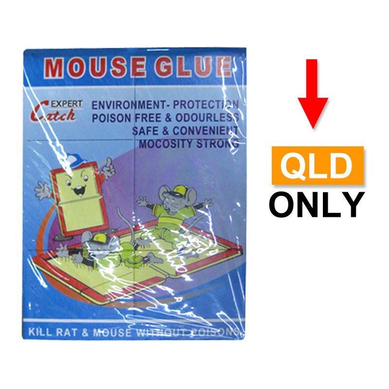 Pest Control - Mouse Cardboard Glue Traps