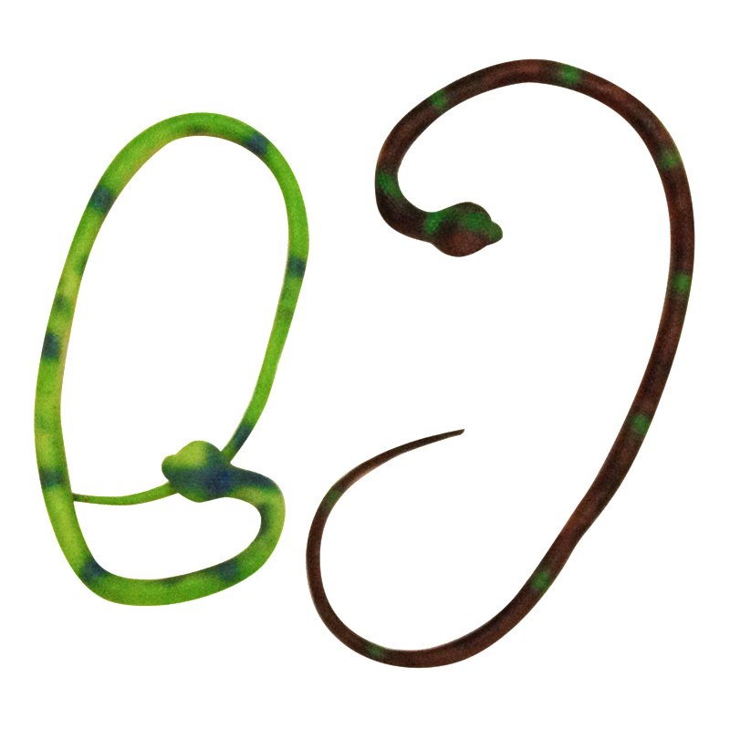 Toy Animal Rubber Snake 76cm Brown/green/black Display Box