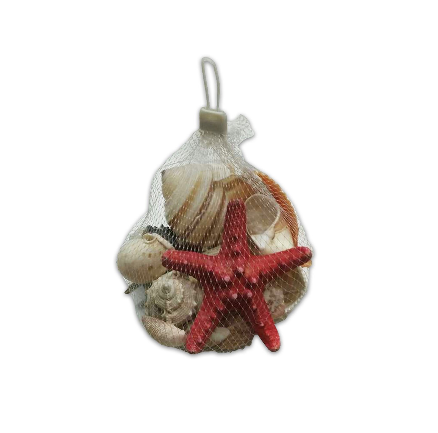 Vase Deco - Sea Shells & Red Starfish