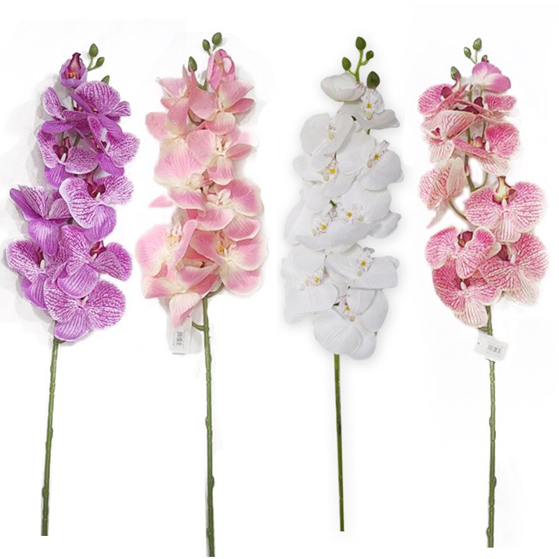 Flower Pick 10HD Phalaenopsis Assorted Colours 98cm