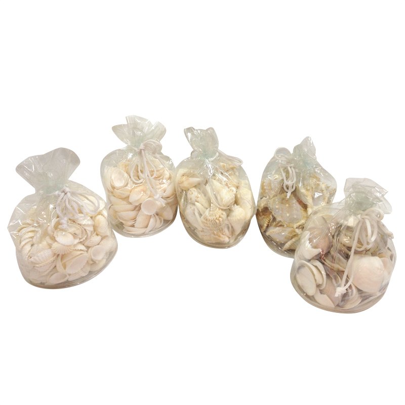 Vase Deco - Sea Shells 8 Assorted in Bag 14-15CMH