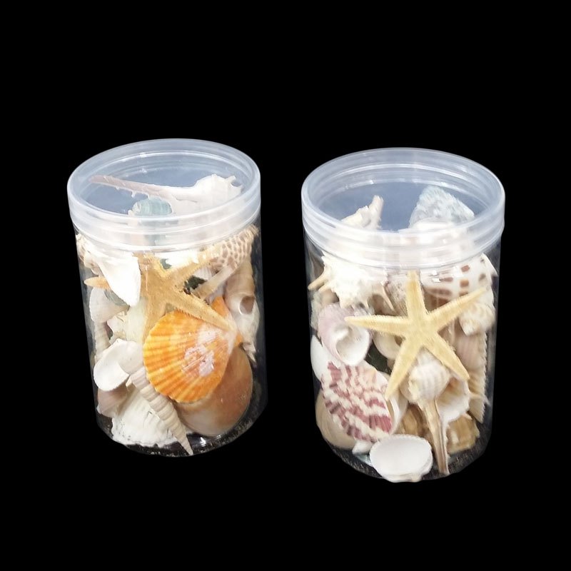 Vase Deco - Seashells Assorted in Plastic Contianer 8.5x12cm