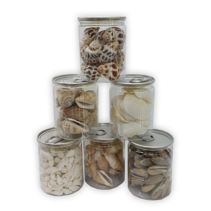Vase Deco - Seashells in Container 6.8x8.6cm 6 Assorted
