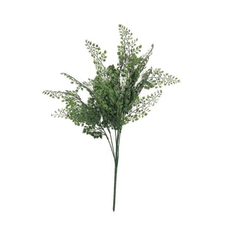 Foliage Maiden Fern 60cm