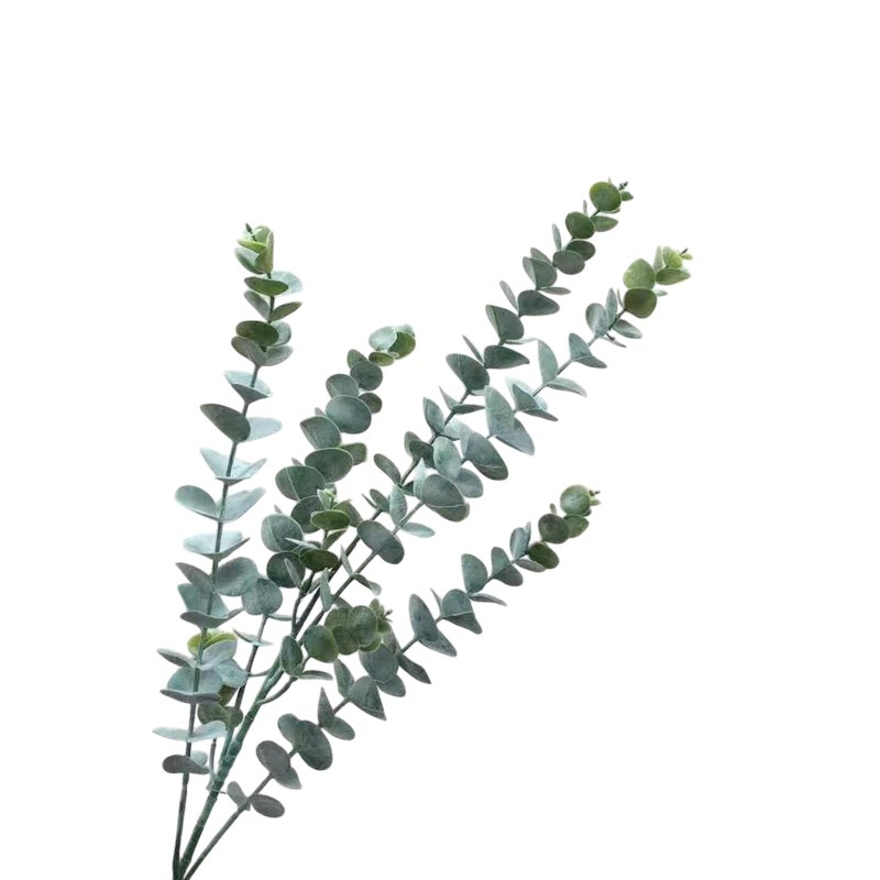 Foliage 5BRANCH Eucalyptus Leaves 80cm