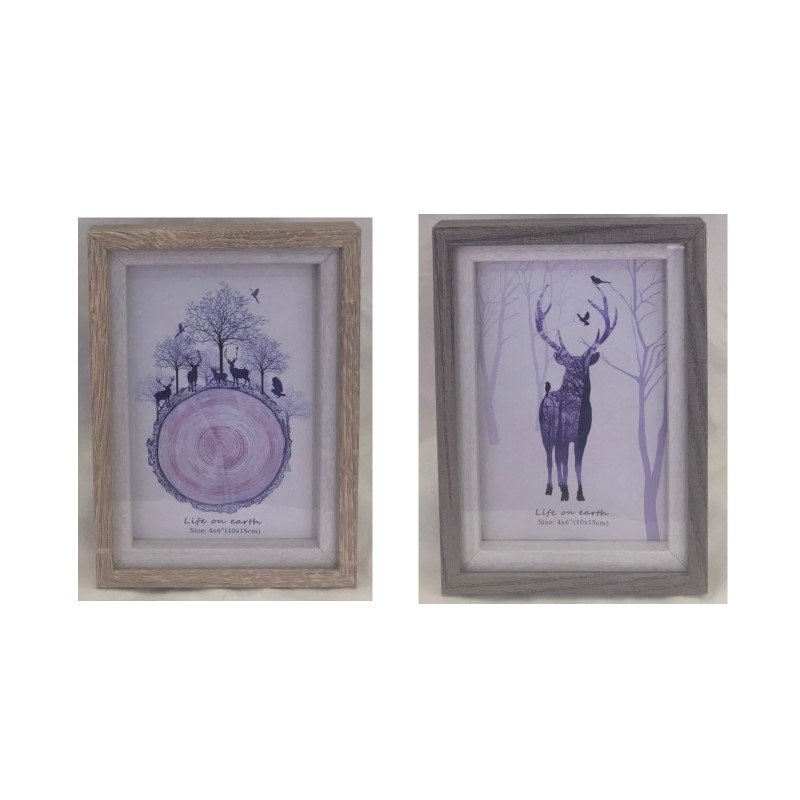 Photo Frame Twin Frame 2 Assorted 4x6"
