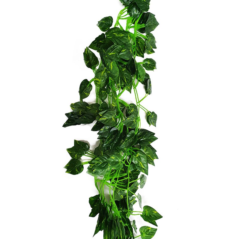 Foliage Vine 2m Long Leaves Devil's Ivy