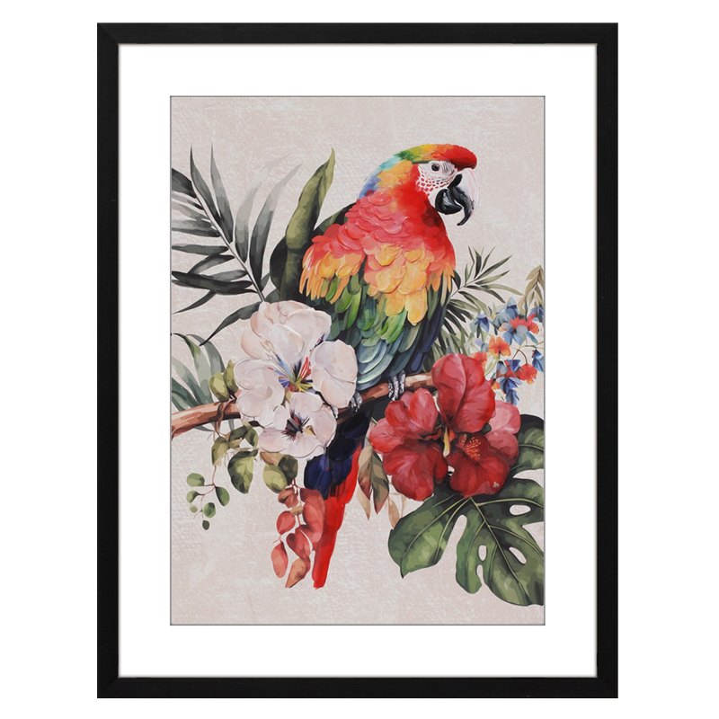 Canvas with Frame Parrot 50x70cm