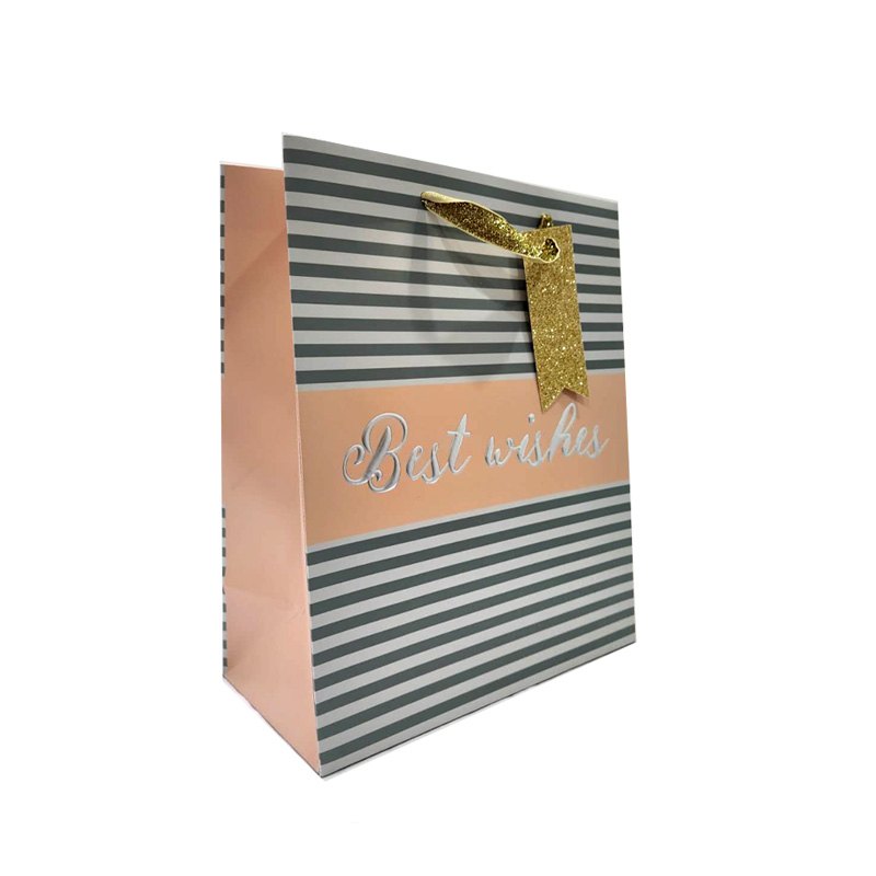 Gift Bag Hotstamping Best Wishes 23x18x10cm