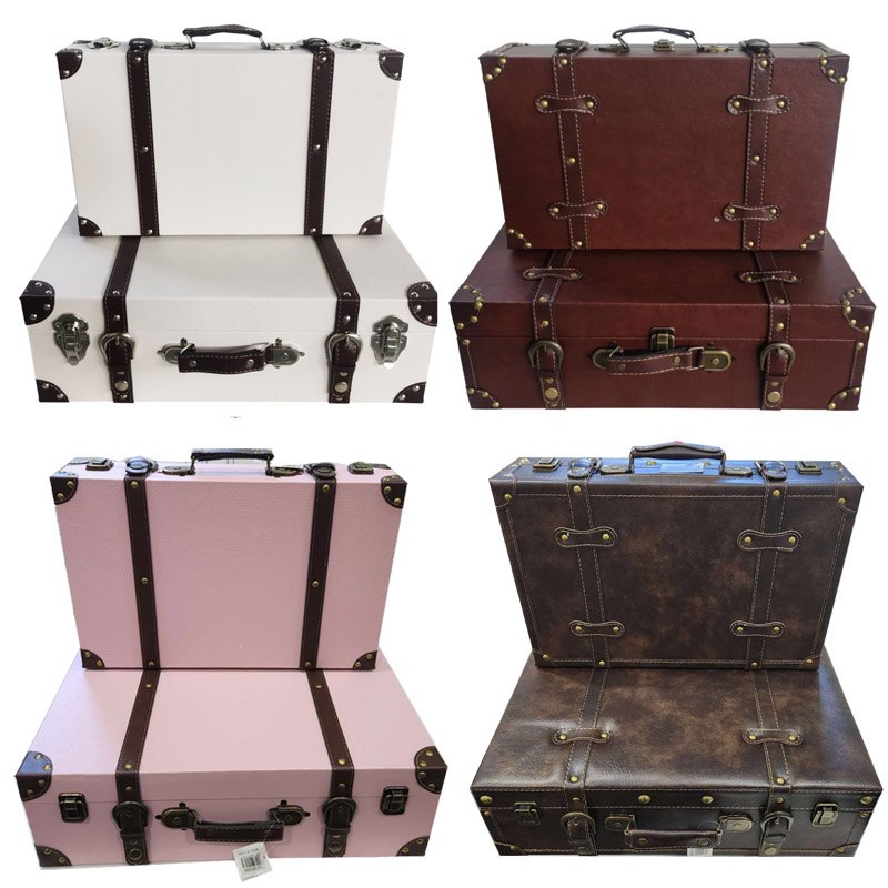 S/2 Cases Assorted Colours 45x30x14cm