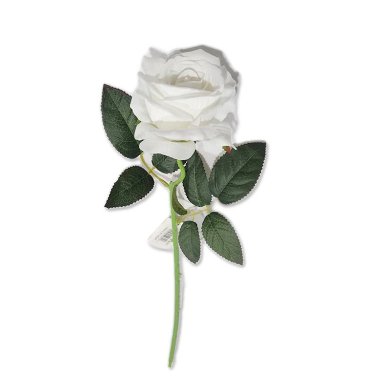 Flower Single Rose 9.5x50cm White