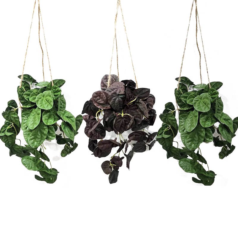 Artificial Plant Hanging 54cm 3 Assorted