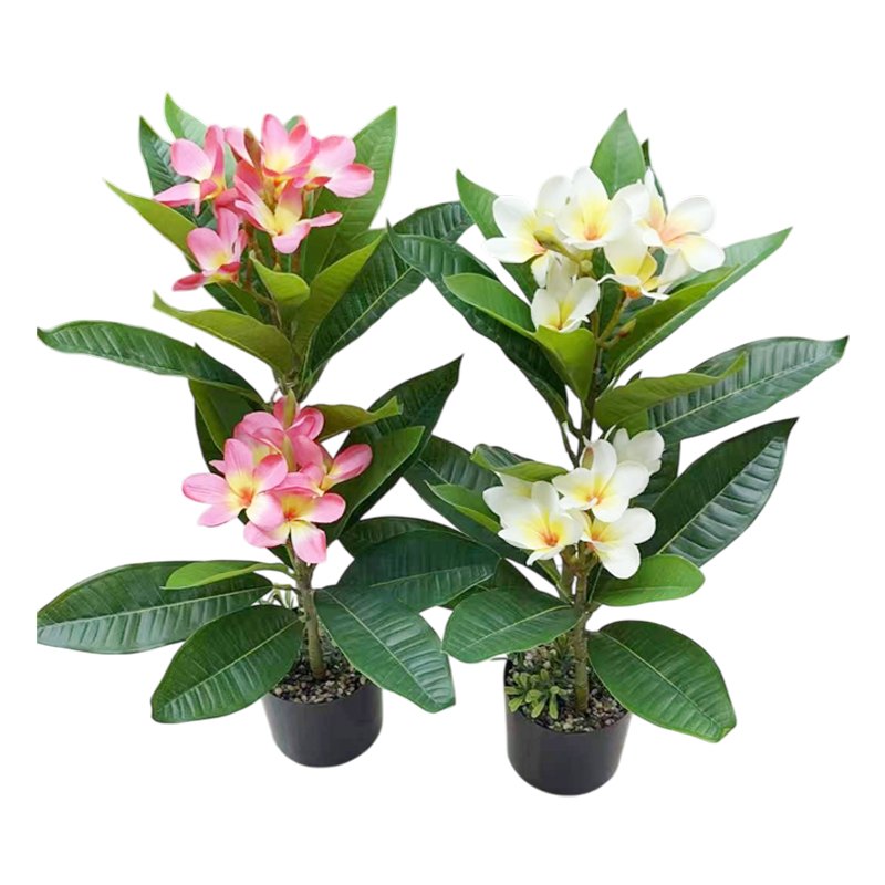 Artificial Flower Pot - Frangipani 60cm