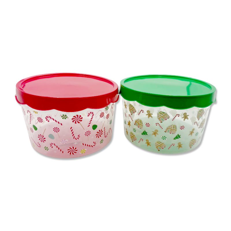 Christmas Cookie Box with Lid 2 Assorted 20x12cm