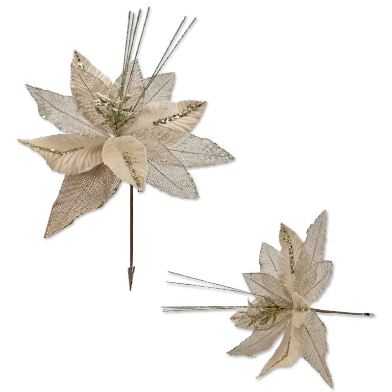 Christmas Flower 40x32cm Champagne