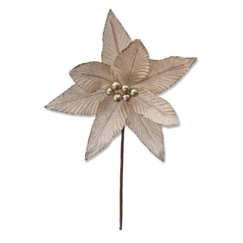 Christmas Flower 25x24cm Champagne
