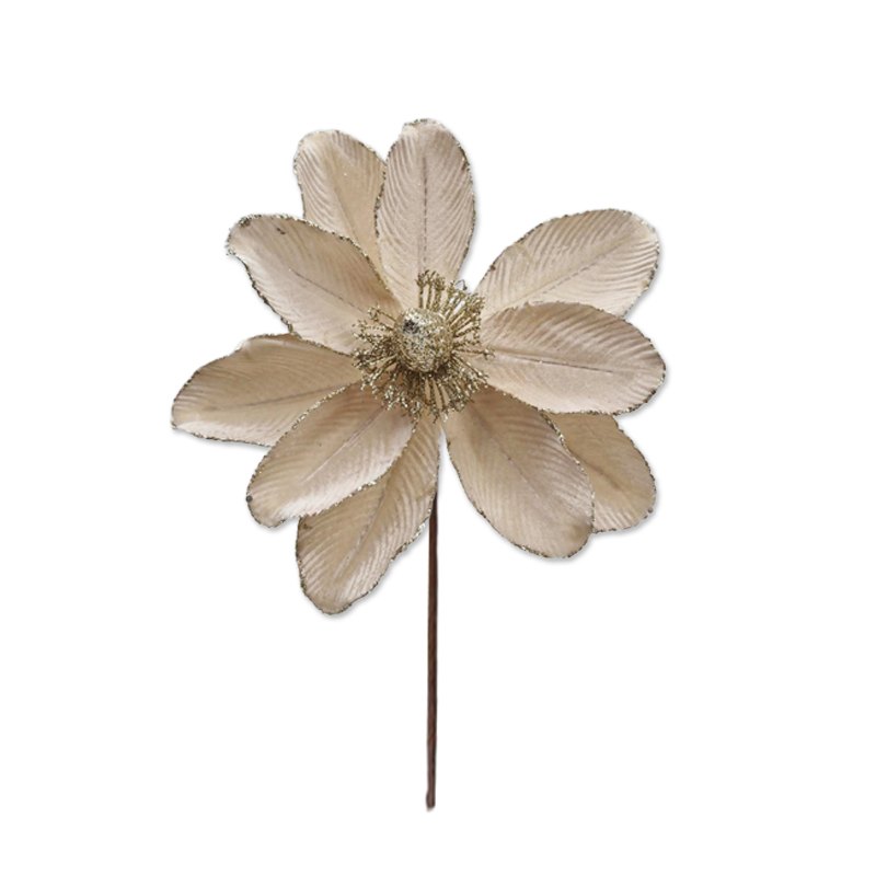 Christmas Flower 30x24cm Champagne