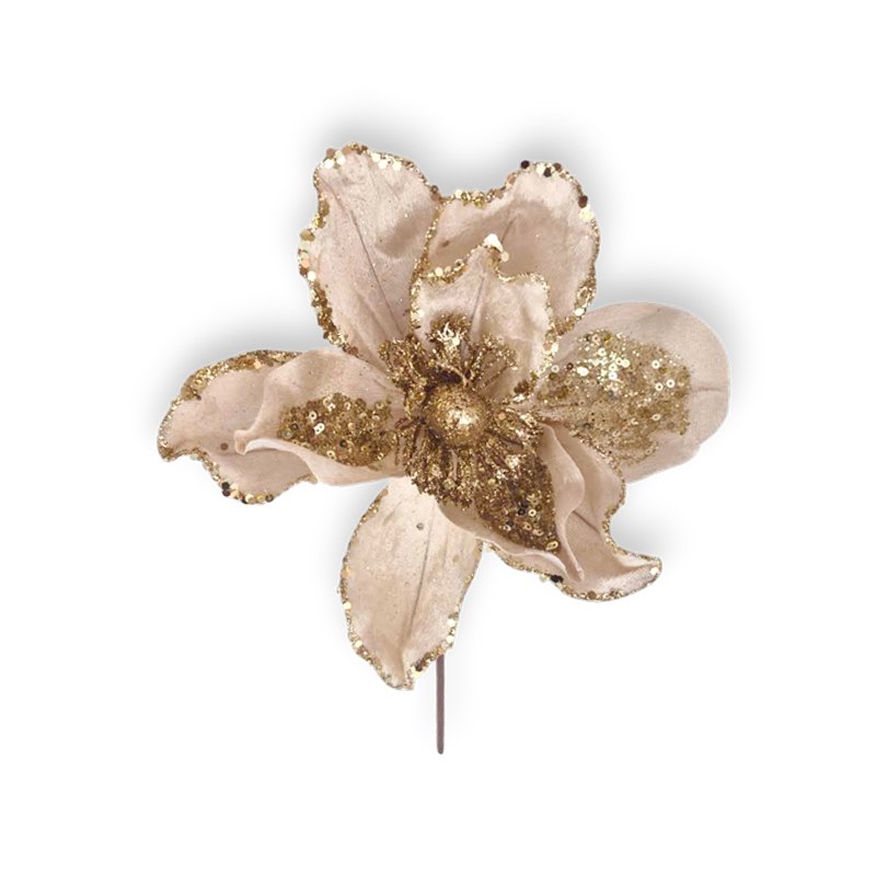 Christmas Flower 25x22cm Champagne