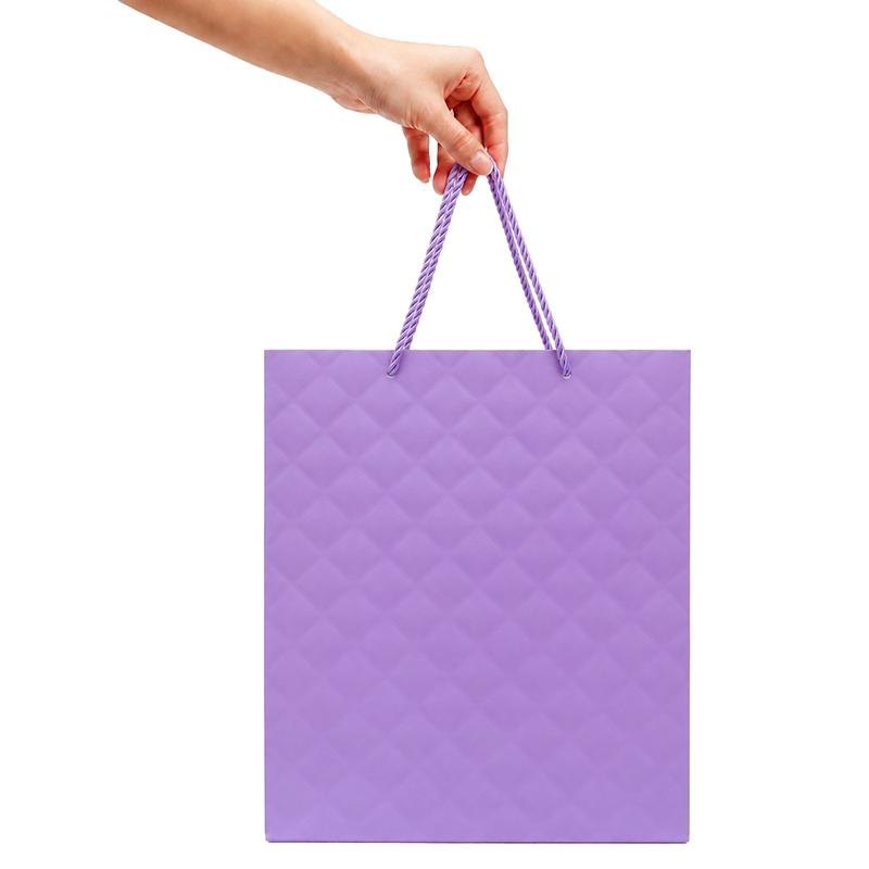 Gift Bag Pack (8 Bags: 2 Each Small, Medium, Large & Bottle) — photo 3 of 5