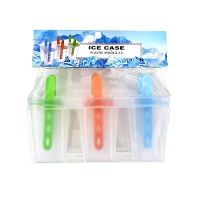 Ice Block Mould 6pk
