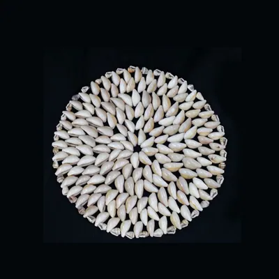 Seashell Placemat Rnd 20cm