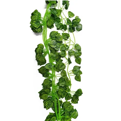 Foliage Vine 2m Long Leaves Watermelon Leaves