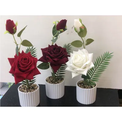 Flower Pot - Roses 8x25cm