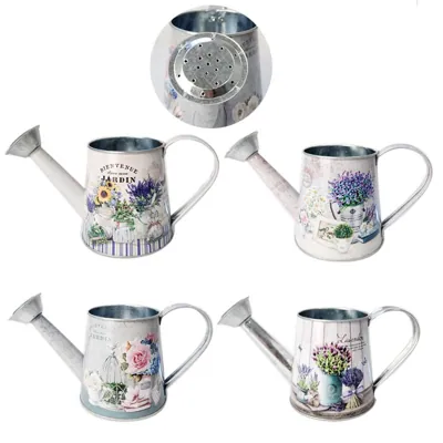 Metal Watering Can 22x10x10.5cm