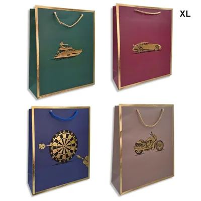 Gift Bag Men's Design EX 31x42x12cm