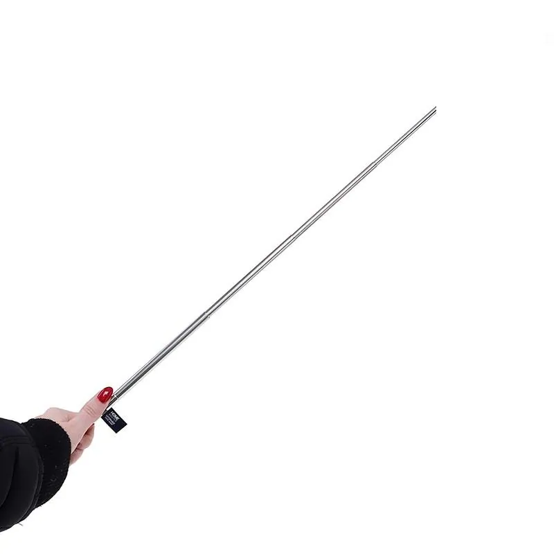 Shoe Horn Extendable From 28cm To 76cm – image 2
