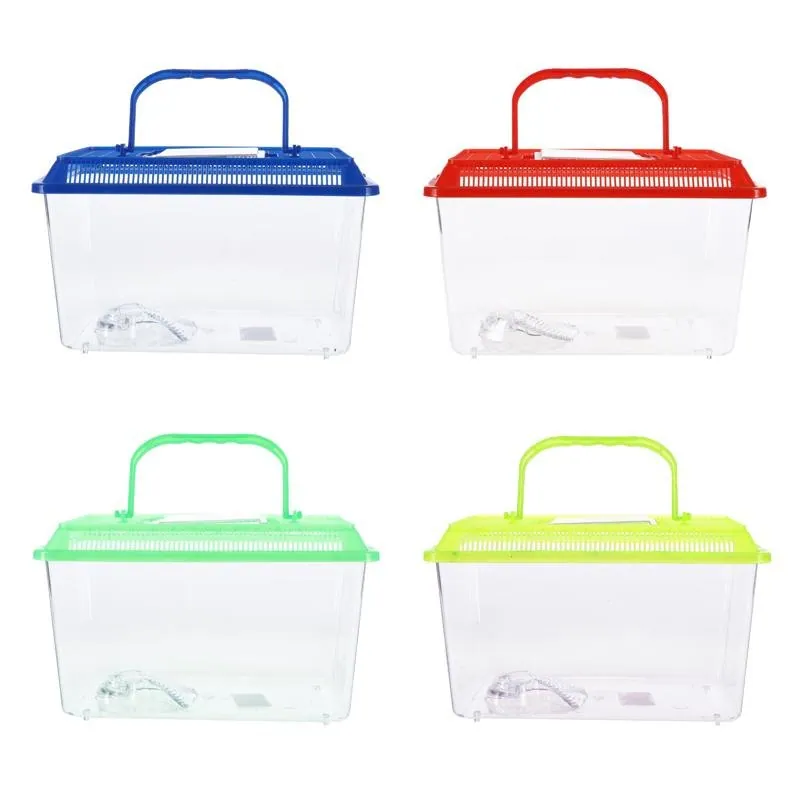 Fish Tank Travel – image 4