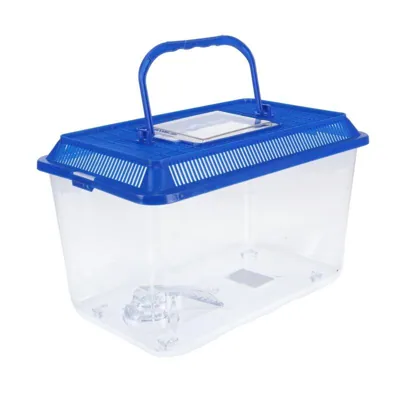 Fish Tank Travel