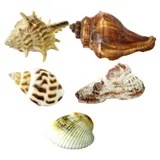 Decorative Ornaments 100g – image 2