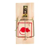 Mouse Trap Wooden 4pk 10cm X 4.5cm – image 1