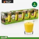 Citronella Candle in Shot Glass Holder 5pc 5cm X 6.5cm 45g Each Yellow Wax Clear Glass Outdoor UseApprox Burn Time: 8hrs Each – image 4