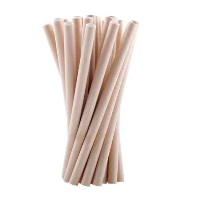 Eco Friendly Drinking Jumbo Straw 25pk - 22cm X 1.2cm - Paper