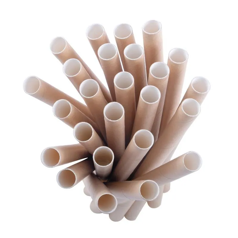 Eco Friendly Drinking Jumbo Straw 25pk - 22cm X 1.2cm - Paper – image 2