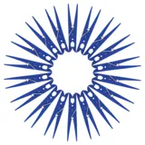 Pegs 50pk Large - Plastic - Blue – image 2