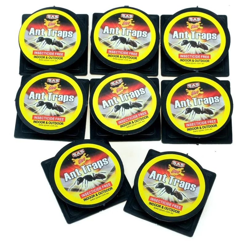 Ant Trap 8pk Black – image 2