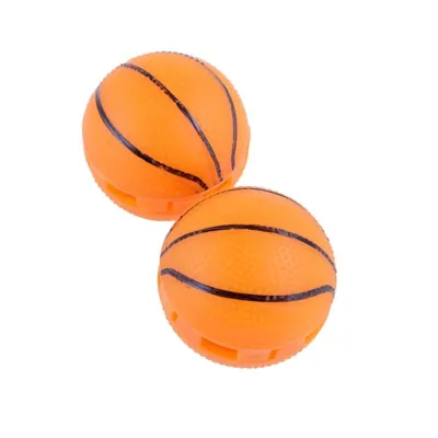 Shoe Deodorising Balls 2pc - Citrus Scented, Basketball Design