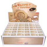 Dig & Discover Fossils 9 Assorted Designs – image 4