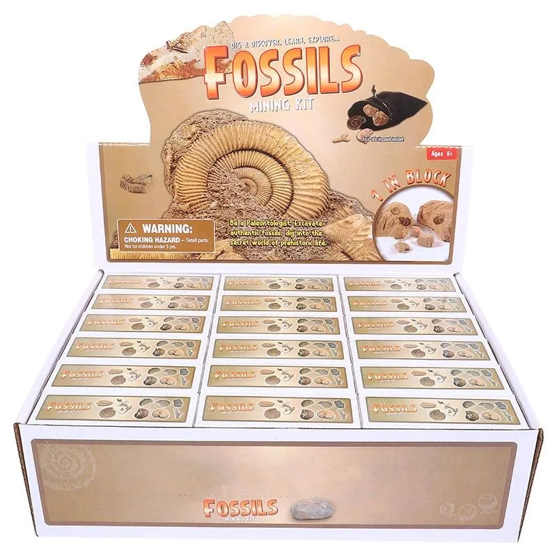 Dig & Discover Fossils 9 Assorted Designs – image 4