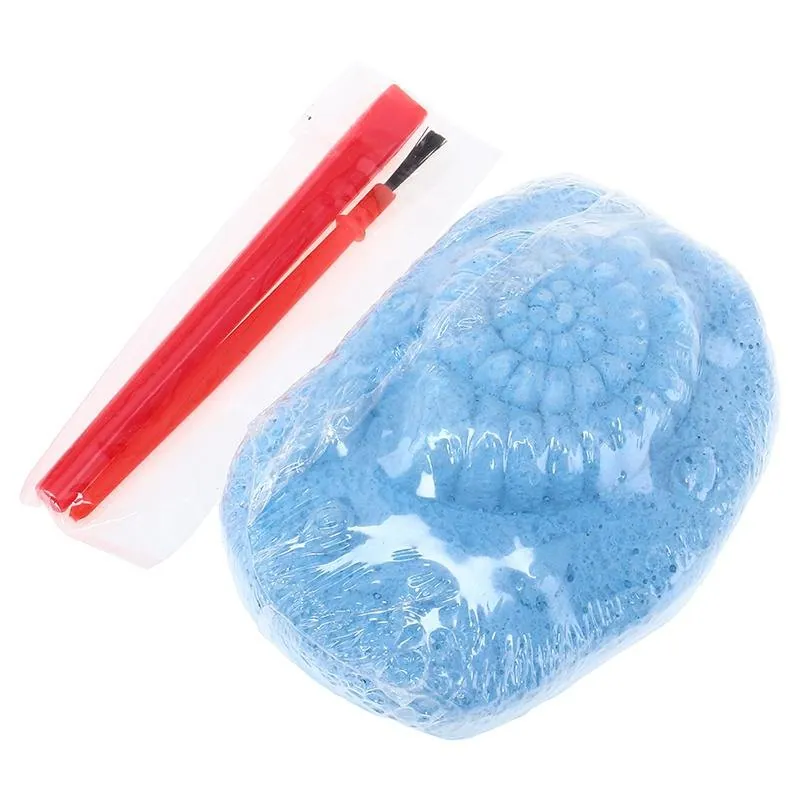 Dig & Discover Fossils 9 Assorted Designs – image 2