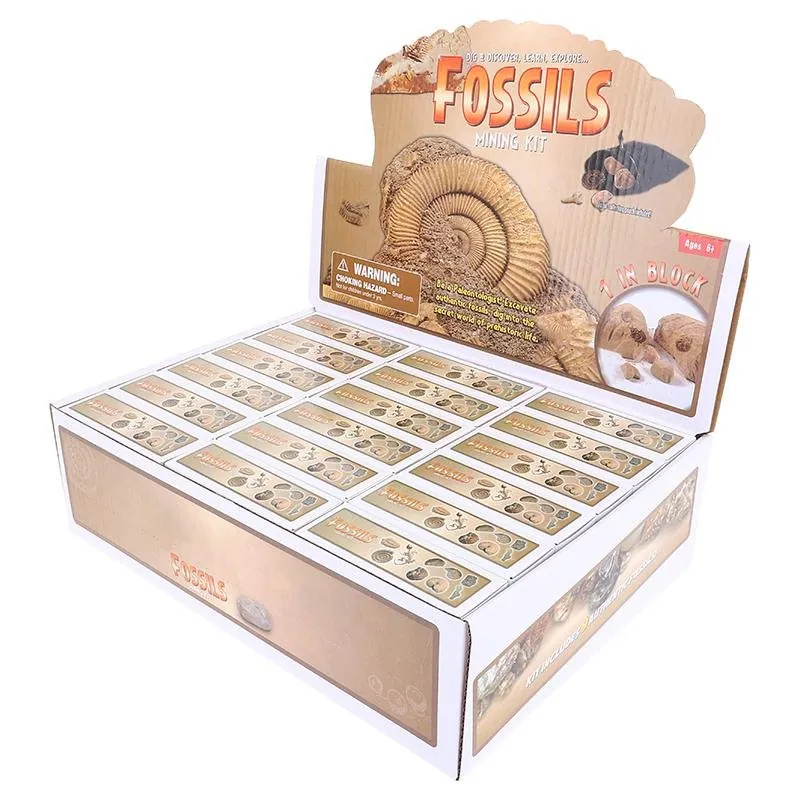 Dig & Discover Fossils 9 Assorted Designs – image 3
