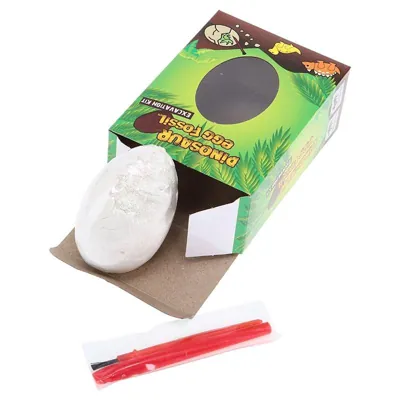 Dig & Discover Dinosaur Egg Fossil 6 Assorted Designs
