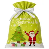 Christmas 2pk Small Foil Gift Bag with Drawstring & Gift Tag (24cm X 32cm) 2 Assorted Designs – image 1