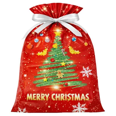 Christmas 2pk Large Foil Gift Bag with Drawstring & Gift Tag (39cm X 51cm) 2 Assorted Designs