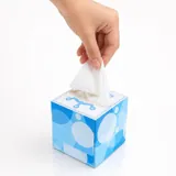 Tissues 2ply 30pk 4 Assorted Designs – image 2