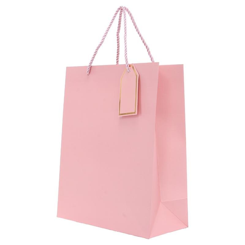 Gift Bag with Gift Tag, Medium 26 x 32cm (Assorted Colour) — photo 2 of 3